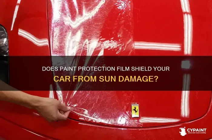 How to Protect Car Paint from Sun Damage and Oxidation