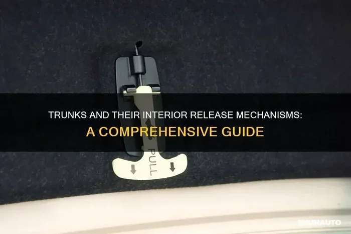 How to Open the Boot From Inside the Car Step by Step