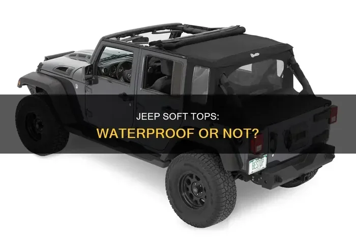 Do Jeep Soft Tops Leak Here Is What You Need to Know
